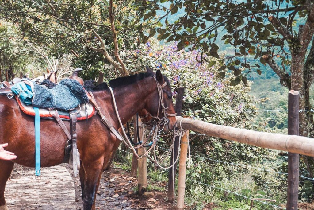 viaggio in sudamerica