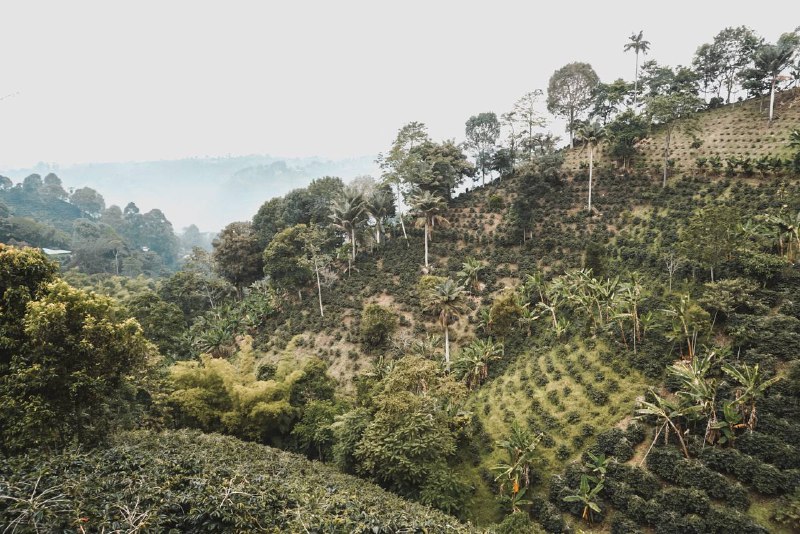 viaggio in colombia